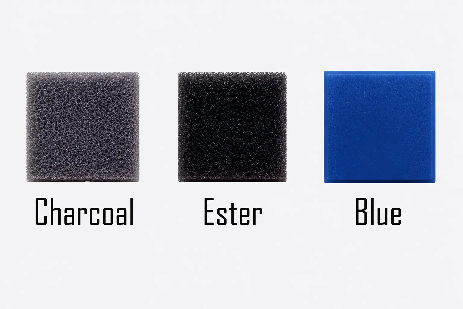 Foam Inserts for Rigid Clear Hinged Boxes